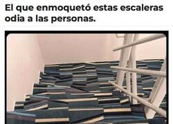 Enlace a Solo quiere ver al mundo tropezar