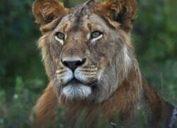 Enlace a Spoiler: No pueden