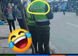 Enlace a Agente de Pocilía