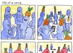 Enlace a La vida de un meme