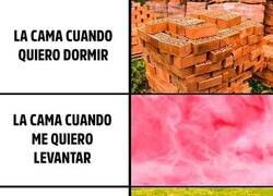 Enlace a Mi cama y sus distintas versiones