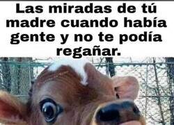 Enlace a Ya verás en casa