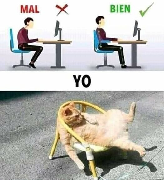 Otros - Cuando tengas 40 me cuentas a ver qué tal tu espalda