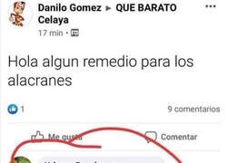 Enlace a Pobre alacran