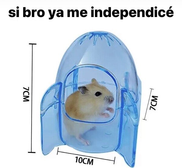 hamster,casita,independizarse