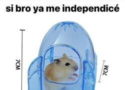 Enlace a Se ve cómodo