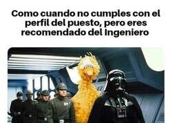 Enlace a Tranquilo, tú disimula