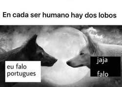 Enlace a Ha dicho faIo jajajajaja