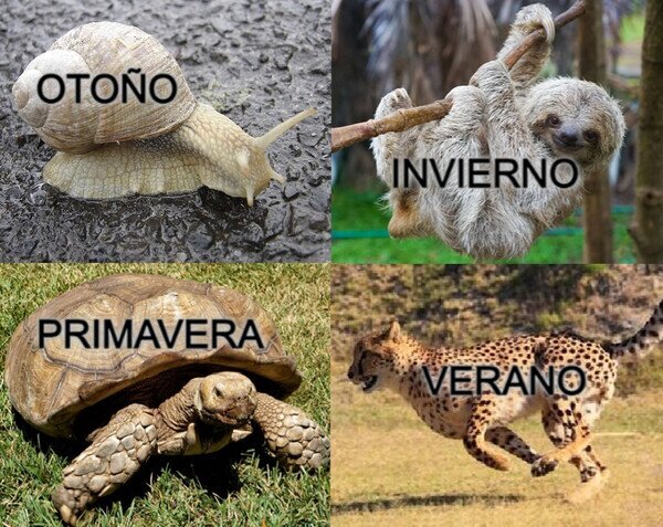 Otros - Y así transcurren las estaciones...
