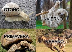 Enlace a Y así transcurren las estaciones...