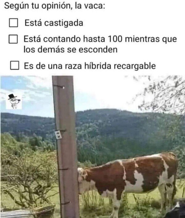 Otros - Las 3 son válidas