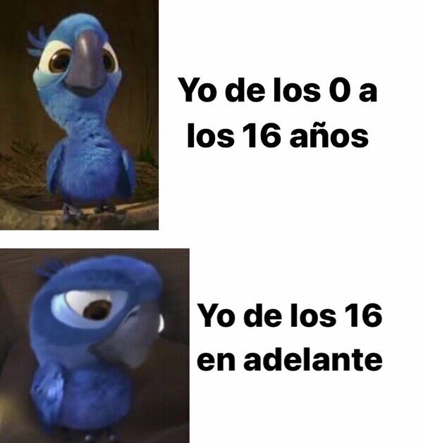 Meme_otros - Crecer es muy duro