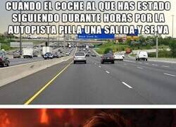 Enlace a Siempre se les pilla cariño