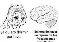 Enlace a Entre la calor y mi cerebro estoy jodido