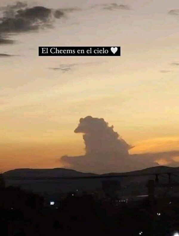 Otros - Tengo un nudo en la garganta. DEP Cheems