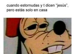 Enlace a Y luego hago ver como que no lo he visto