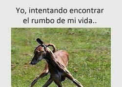 Enlace a No lo tengo nada claro