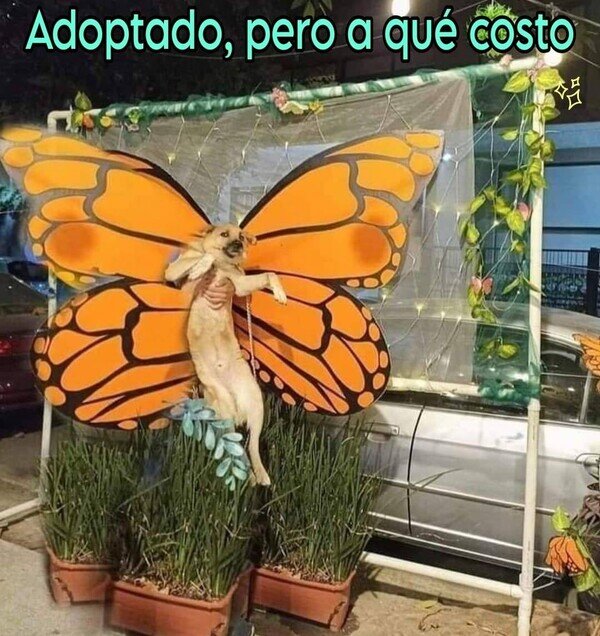 Omg_run - Algo no cuadra aquí