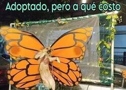 Enlace a Algo no cuadra aquí