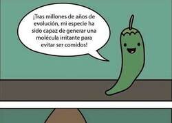 Enlace a La intención del picante es no ser comido