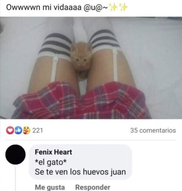 Meme_otros - El gato de Juan