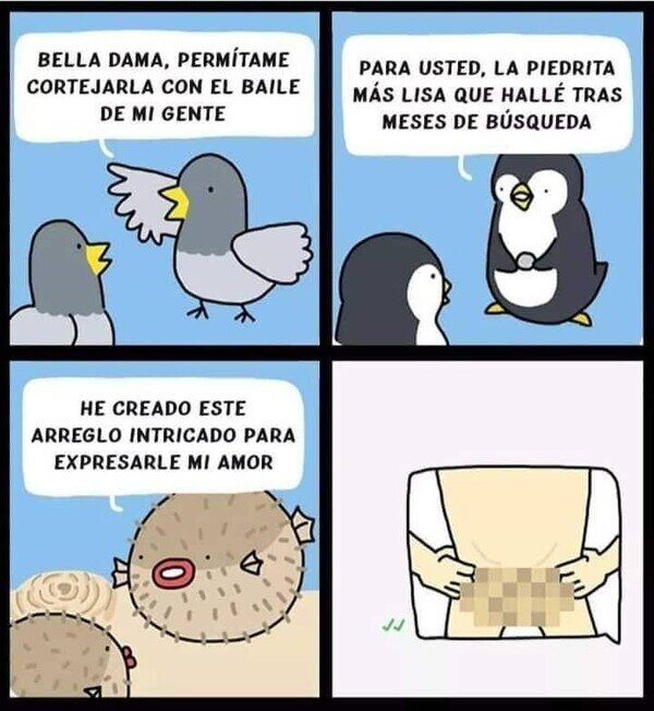 Meme_otros - Animales y sus técnicas de cortejo