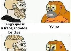 Enlace a ¿En qué estamos fallando?