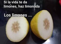 Enlace a Ni para eso me da
