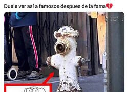 Enlace a Otro ídolo que no soportó el peso de la fama