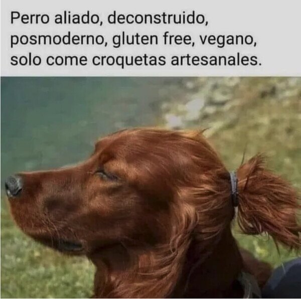 Meme_otros - Puedo saber cómo es este perro