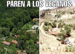 Enlace a Hay que pararles los pies