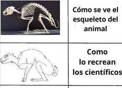 Enlace a Nada que ver