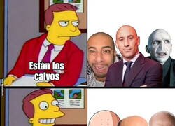 Enlace a Calvos y calvos