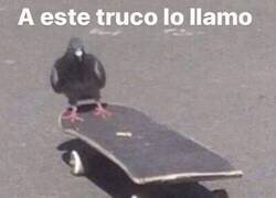 Enlace a ¡A tí también te sale!