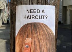 Enlace a Si tuviera una peluquería, haría esto