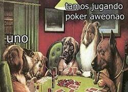 Enlace a Algo anda mal aquí