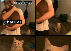 Enlace a Amigo, te empiezan a olvidar