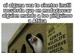 Enlace a Alguien los mandó hacia allí