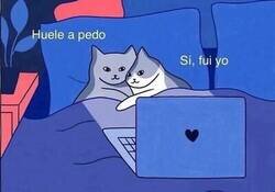 Enlace a El amor es esto