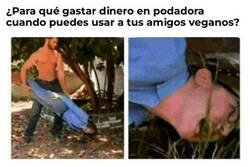 Enlace a Poda vegana