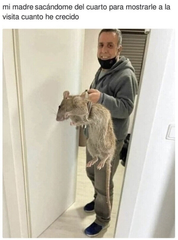 Meme_otros - Aquí está la criatura