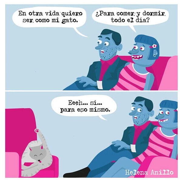 Meme_otros - Quiero ser un gato