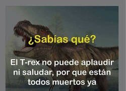 Enlace a ¿Por qué no pueden?