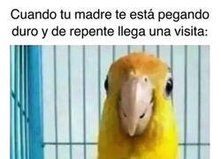 Enlace a Aparentando normalidad