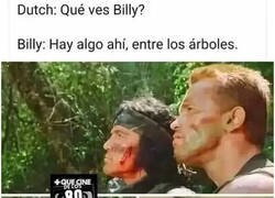 Enlace a Noto una presencia...