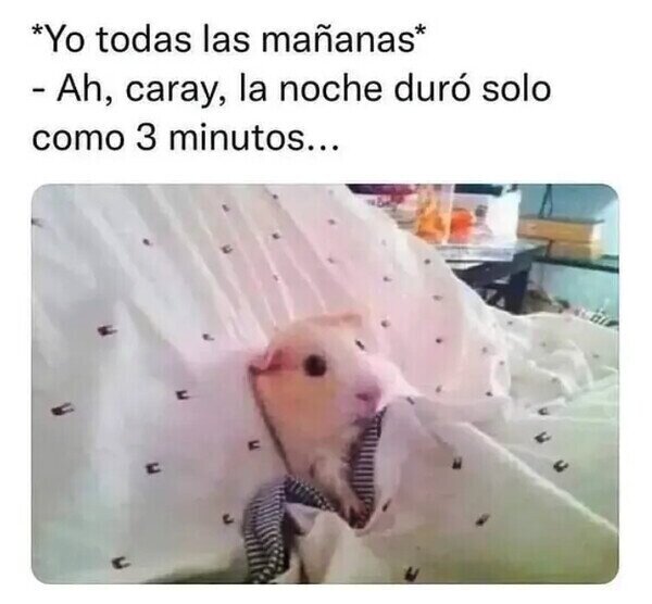 Meme_otros - Visto y no visto