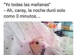 Enlace a Visto y no visto