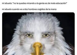 Enlace a La mirada del yayo