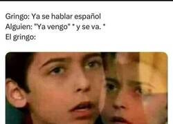 Enlace a No puede saber bien español del todo