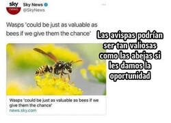 Enlace a Eso es exactamente lo que escribiría una avispa